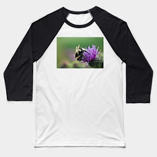 Scruffy Old Bumble Bee macro Baseball T-Shirt